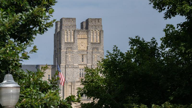 Burruss Through The Trees Sabers